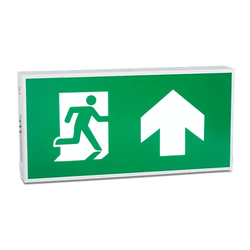 ไฟฉุกเฉินทางออก EXS1