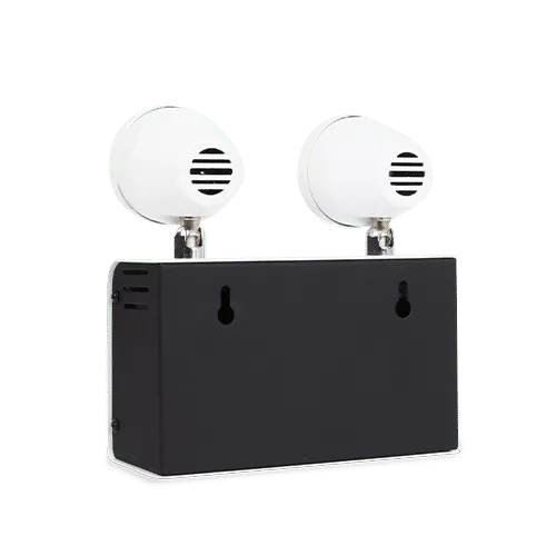 ด้านหลังไฟฉุกเฉิน ซันนี่